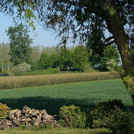 Vakantiewoning Het Olietunnetje Ovezande Екстериор снимка