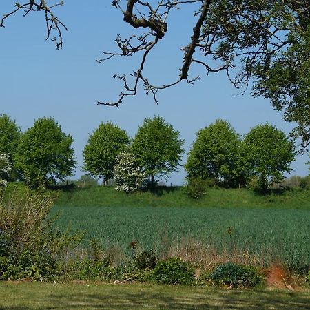 Vakantiewoning Het Olietunnetje Ovezande Екстериор снимка